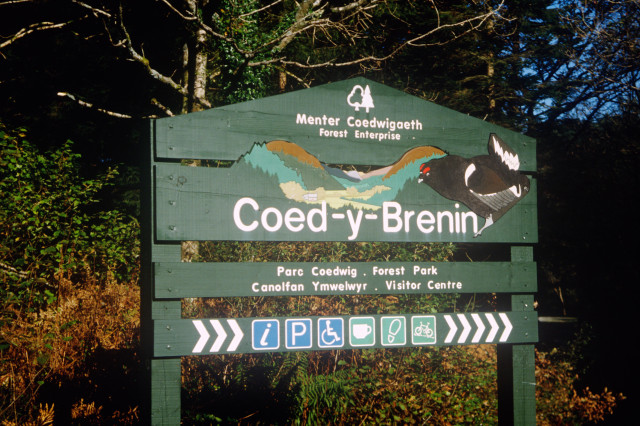 2026 coed y brenin sign.jpg
